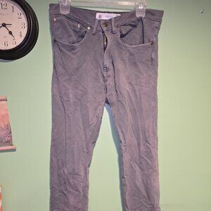 Laguna Mens 30 Pants Gray Stretch
